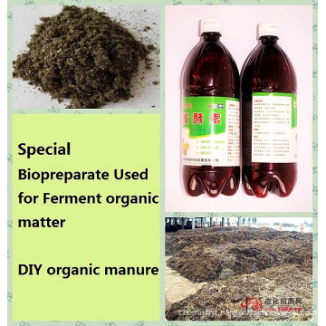 Seaweed Bio Inoculant Used for fermenting Organic Materials (DIY organic manure)